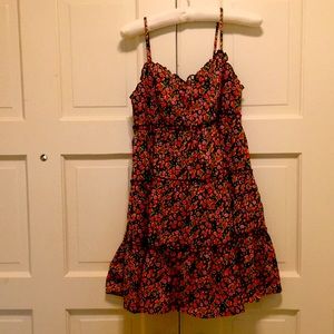 Red flowers against black